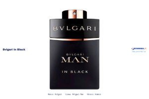 Ficha técnica Bvlgari in black