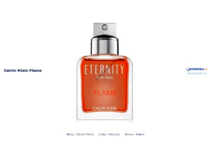 Ficha técnica Calvin Klein flame