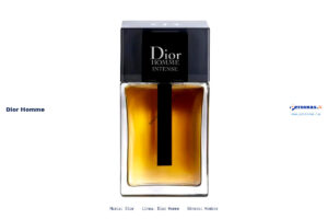 Ficha técnica Dior homme