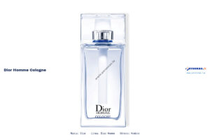 Ficha técnica Dior homme cologne