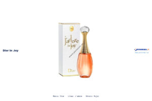Ficha técnica Dior in joy