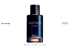 Ficha técnica Dior sauvage