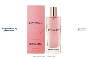 Ficha técnica Giorgio Armani my way giorgio