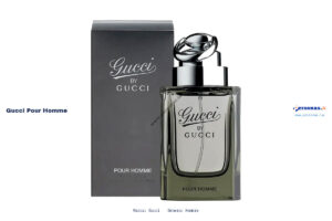 Ficha técnica Gucci gucci pour homme