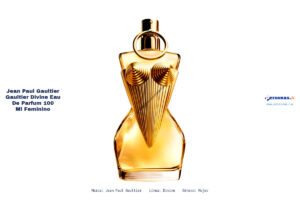 Ficha técnica Jean Paul Gaultier jean paul gaultier gaultier divine eau de parfum 100 ml feminino