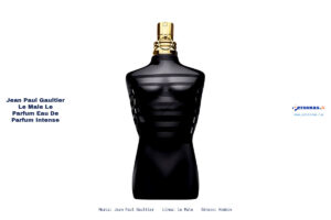 Ficha técnica Jean Paul Gaultier jean paul gaultier le male le parfum eau de parfum intense