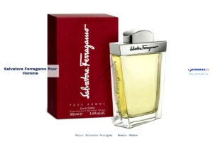 Ficha técnica Salvatore Ferragamo pour homme