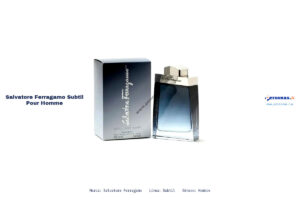 Ficha técnica Salvatore Ferragamo subtil pour homme